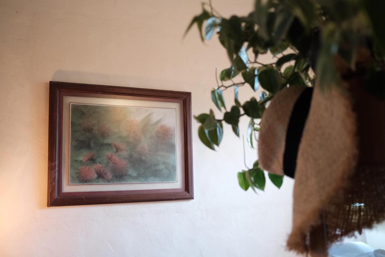 Habitacion Dentro Kaabna Spa Villahermosa Dış mekan fotoğraf